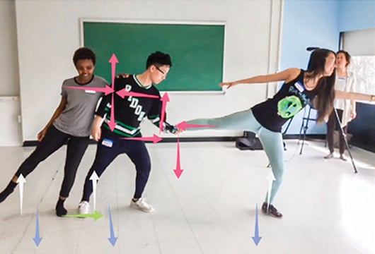 Embodied Physics Header Photo