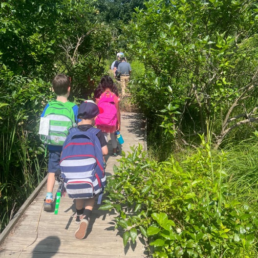 Group-of-kids-walking-on-a-wooden-bridge